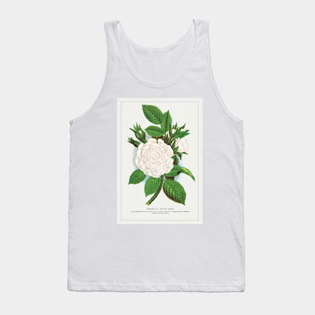Rose, Perpetual White Moss lithograph (1900) Tank Top by WAITE-SMITH VINTAGE ART